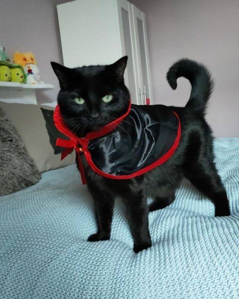 reddit.com/user/hootog